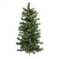 3' x 21" Douglas Wall Tree 100WmWh LED