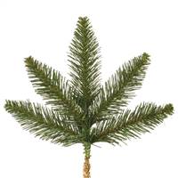 15" Camdon Fir Spray 5 Tips