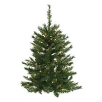3' x 26" Imperial Wall Tree Dura-Lit50CL