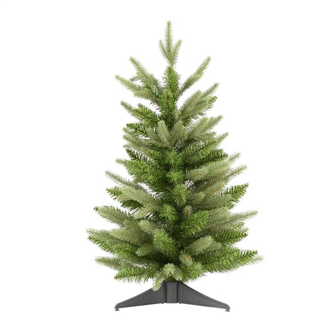 24" x 16" Frasier Fir Tree 90 Tips