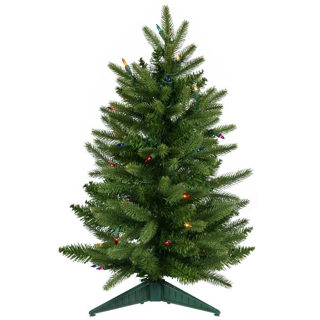 24" x 16" Frasier Fir Dura-Lit 50MU 90T