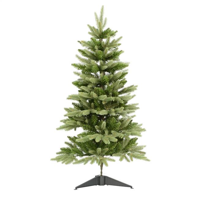 36" x 22" Frasier Fir Tree 218 Tips