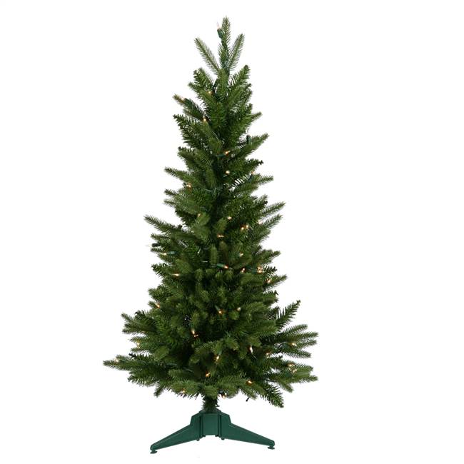 36" x 22" Frasier Fir Dura-Lit 100CL 218