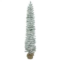 5' x 11" Frosted Pole Pine DL150LED WmWt