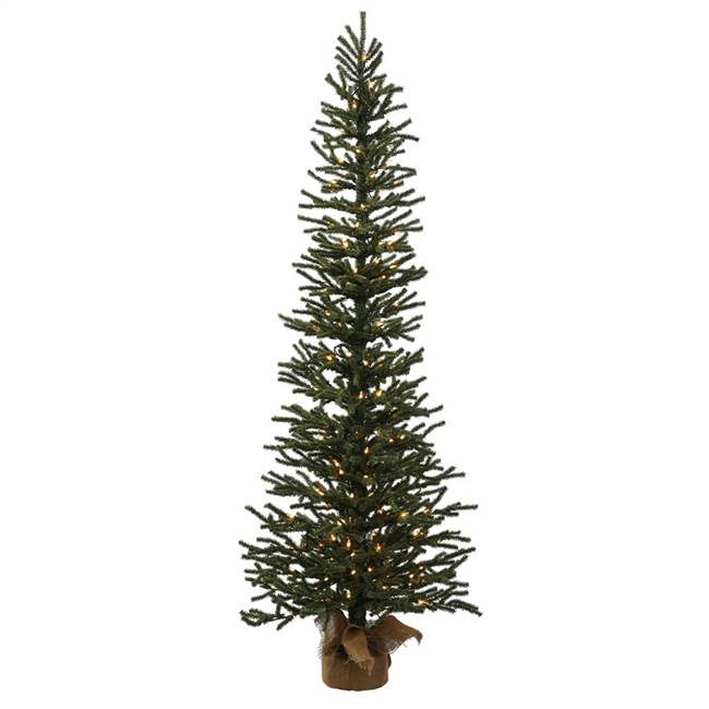 5' x 24" Mini Pine Tree Dural 150CL