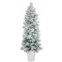 7' x 29" Potted Flocked Castle Pine 510T