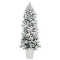 7' x 29" Flkd Castle Pine 250LED WmWht