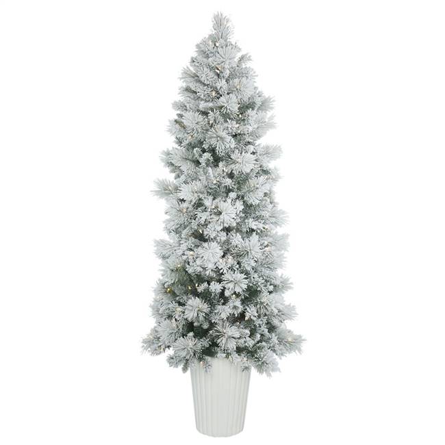 7' x 29" Flkd Castle Pine 250LED WmWht