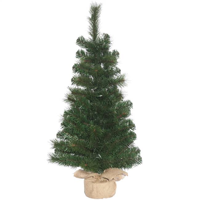 24" x 13" Dillon Spruce 60T