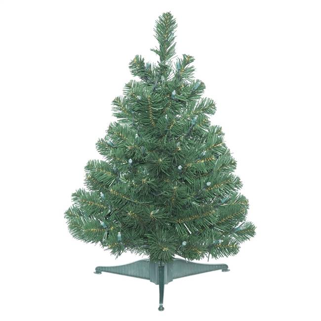 26" x 19" Oregon Fir Tree 65 Tips