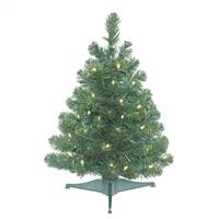 26" x 19" Oregon Fir WA 50LED WmWht