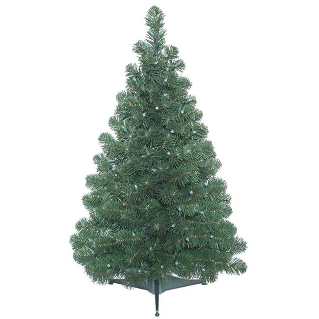 3' x 24" Oregon Fir Tree 150 Tips