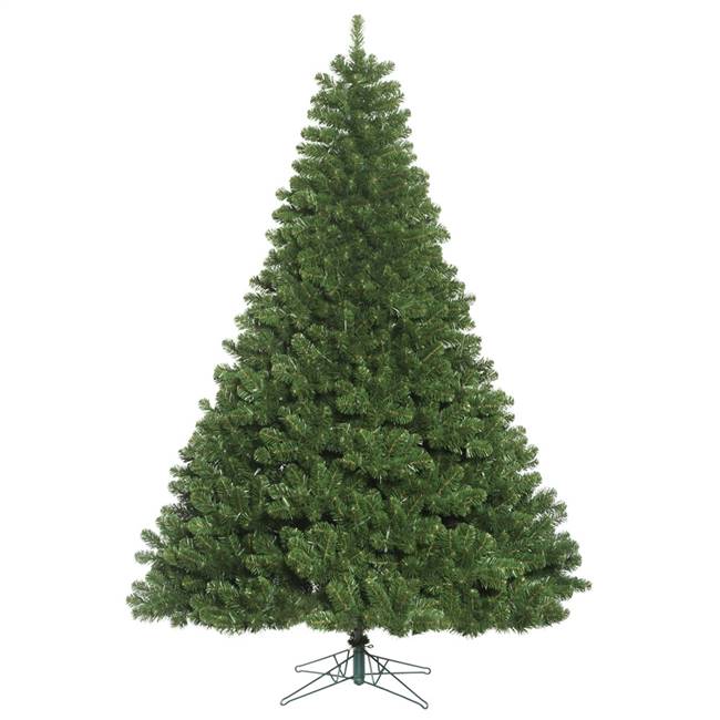 4.5'x 39" Oregon Fir Tree 321 Tips