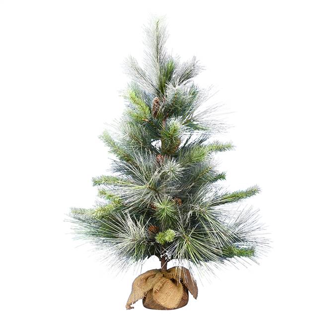 36" Frosted Myers Pine Tree Burlap Base
