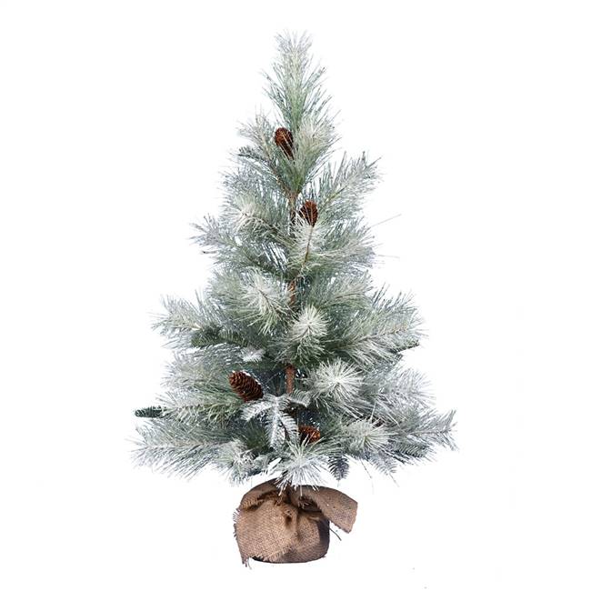 36" Frosted Ansell Pine Tree 46Tips