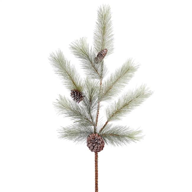 34" Frosted Bellevue Pine Spray Cone 2/b