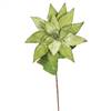 24"  Poinsettia Stem Lime Green 3/Bag