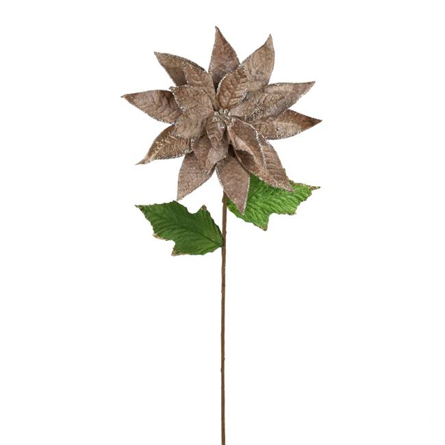 24" Poinsettia Stem Mocha 3/Bag