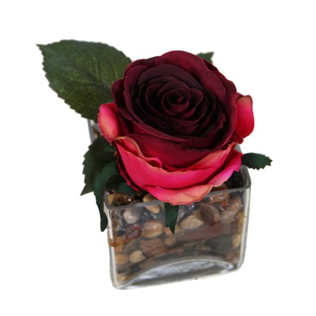 6" Red Rose /Glass Square