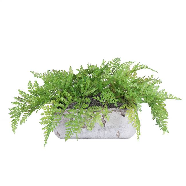 10" Fern in Cement Rectangle