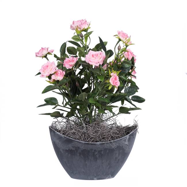 13.5" Lt Pink Mini Rose Oval Container