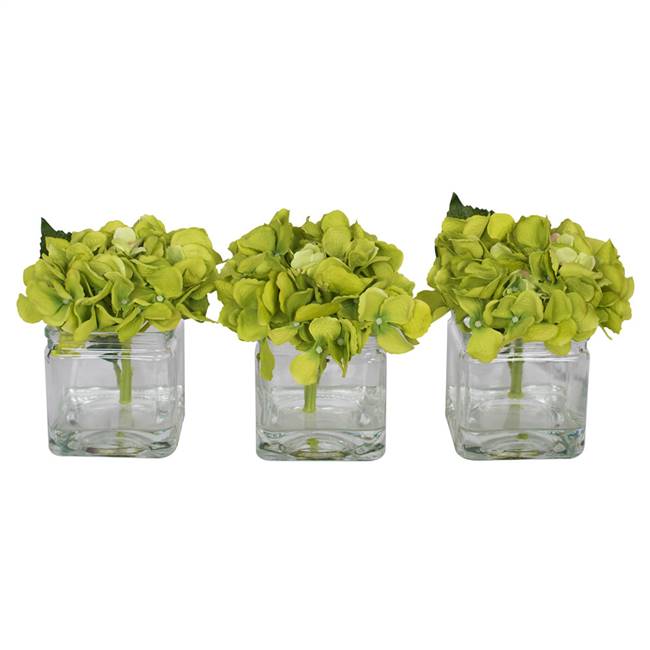 5" Green Hydrangea in Glass Cube 3/Set