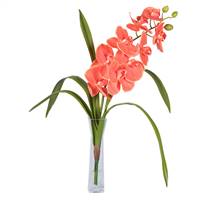 22" Orange Orchid in Vase