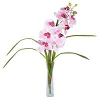 22" Pink Orchid in Vase