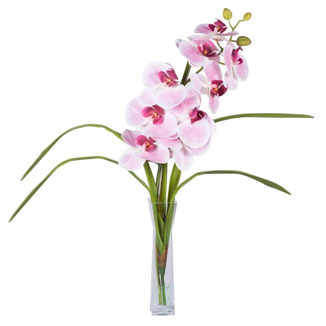 22" Pink Orchid in Vase