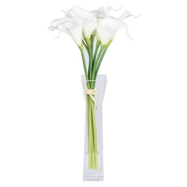 15" White Calla Lily in Water