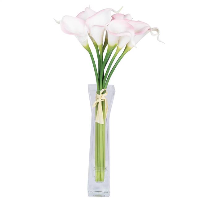 15" Pink Calla Lily in Water