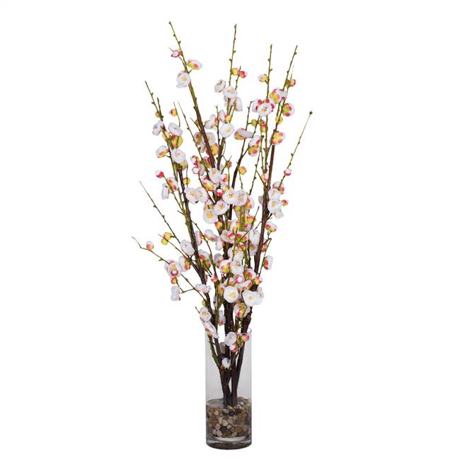 35" White Cherry Blossom in Cyclinder