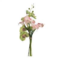 21" Green Orchid with Calla Bundle