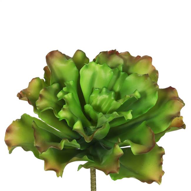 9" Big Romaine-Green/Brown (Pk/3)