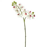 19" White Real Touch Phalaenopsis Orchid