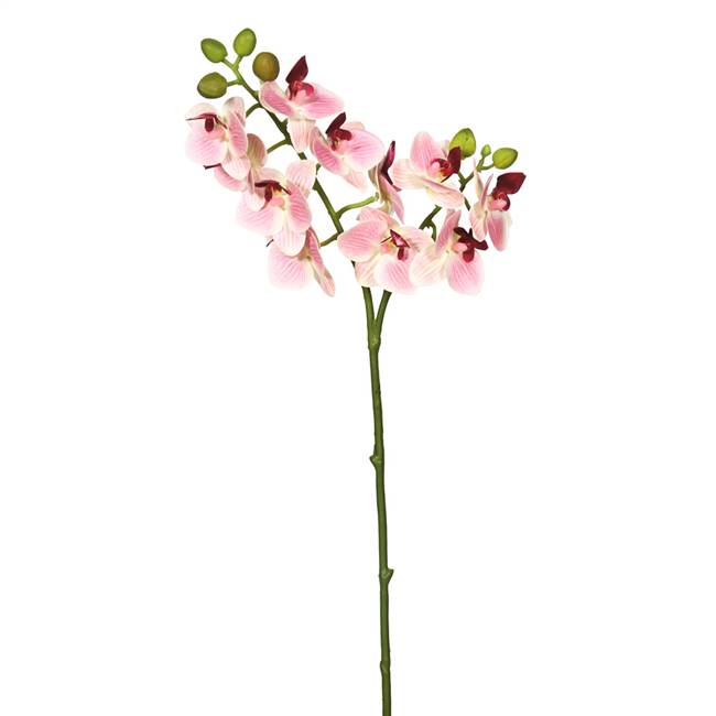 19" Pink Real Touch Phalaenopsis Orchid