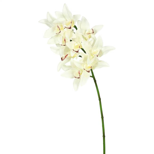 29" Cream Real Touch Cymbidium Orchid