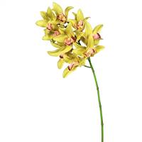 29" Green Real Touch Cymbidium Orchid