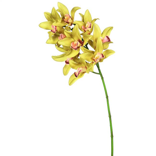 29" Green Real Touch Cymbidium Orchid