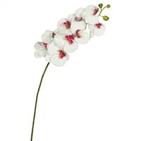 43" White Real Touch Phalaenopsis Orchid