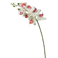 35" White Real Touch Phalaenopsis Orchid