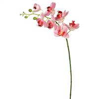 35" Pink Real Touch Phalaenopsis Orchid