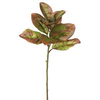 31"Single Magnolia Leaves-Autumn (Pk/3)