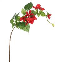 33" Single Bougainvillea-Red (Pk/3)