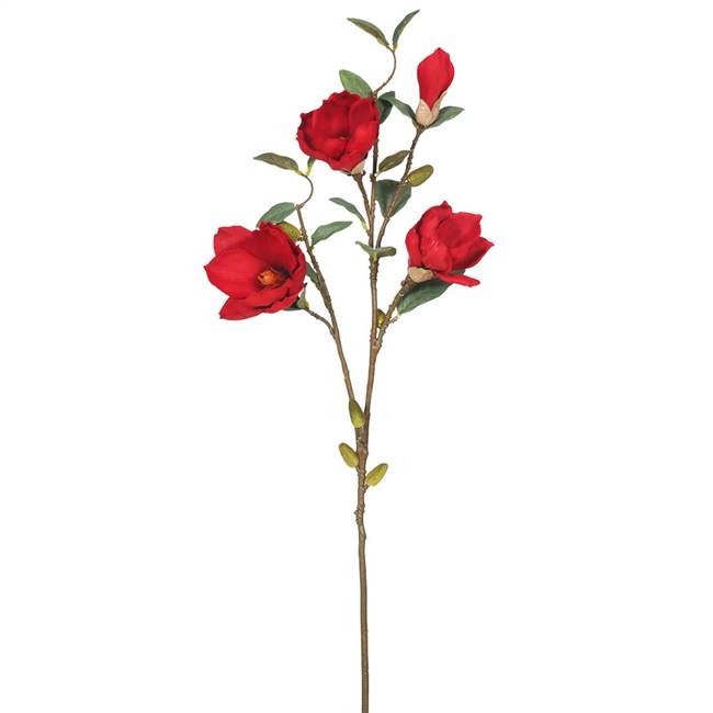 38" Magnolia x 4-Red (Pk/3)