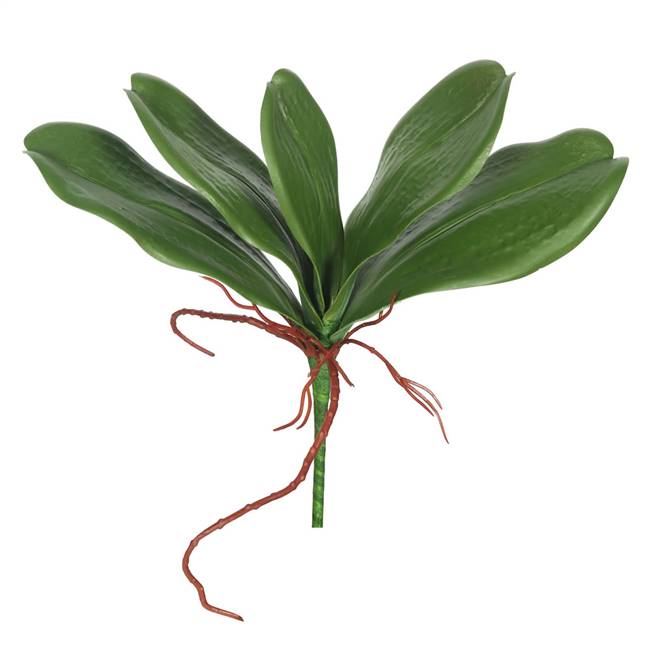 9" Real Touch Orchid Leaves-Green(Pk/3)