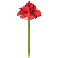 28" Single Amaryllis-Red 3/Bag