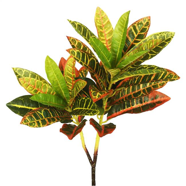 23" Real Touch Green Croton