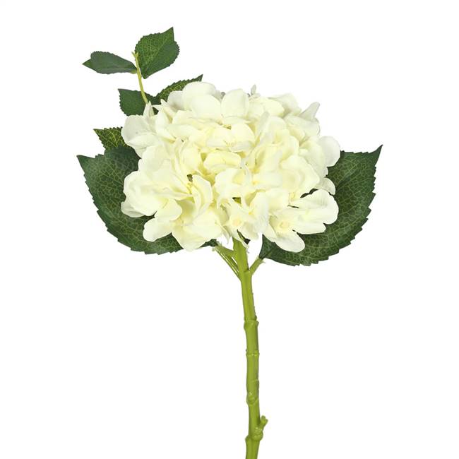 15"Short Stem Hydrangea x 2-Cream (Pk/3)