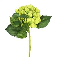 15"Short Stem Hydrangea x 2-Green (Pk/3)